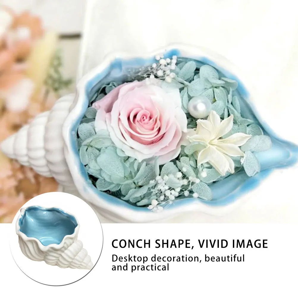 

1Pcs Ceramic Conch Pot Small Stylish Tabletop Planter for Succulents Cactus Violets Decorative Home Office Desk Flowerpot