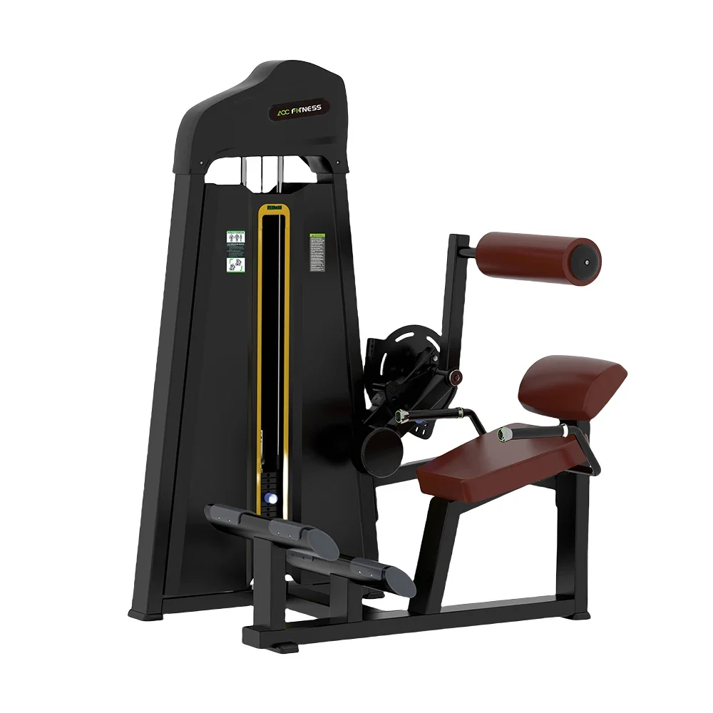 

Wholesale Price Pin Loaded GYM Fitness Equipment Lower Back Machine for Commercial Using with 65 KG Weight Stack