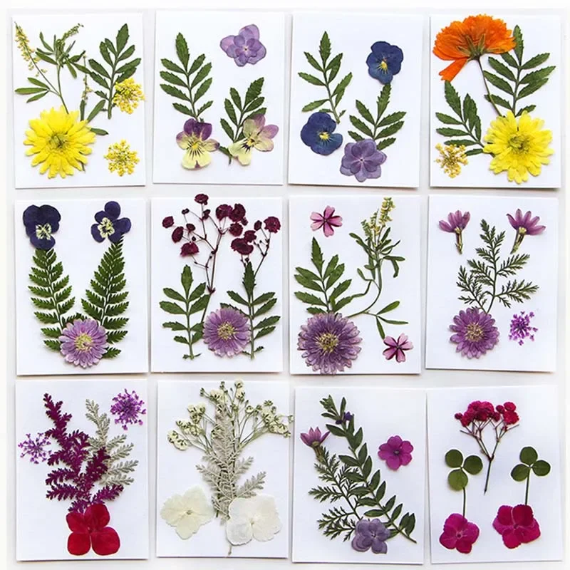 5/10/15/20/25PCS,Real Natural Dried Press Greenery and Flowers Kit,Pressed Flower Leaves Banch Set For Epoxy Resin,Candle Making