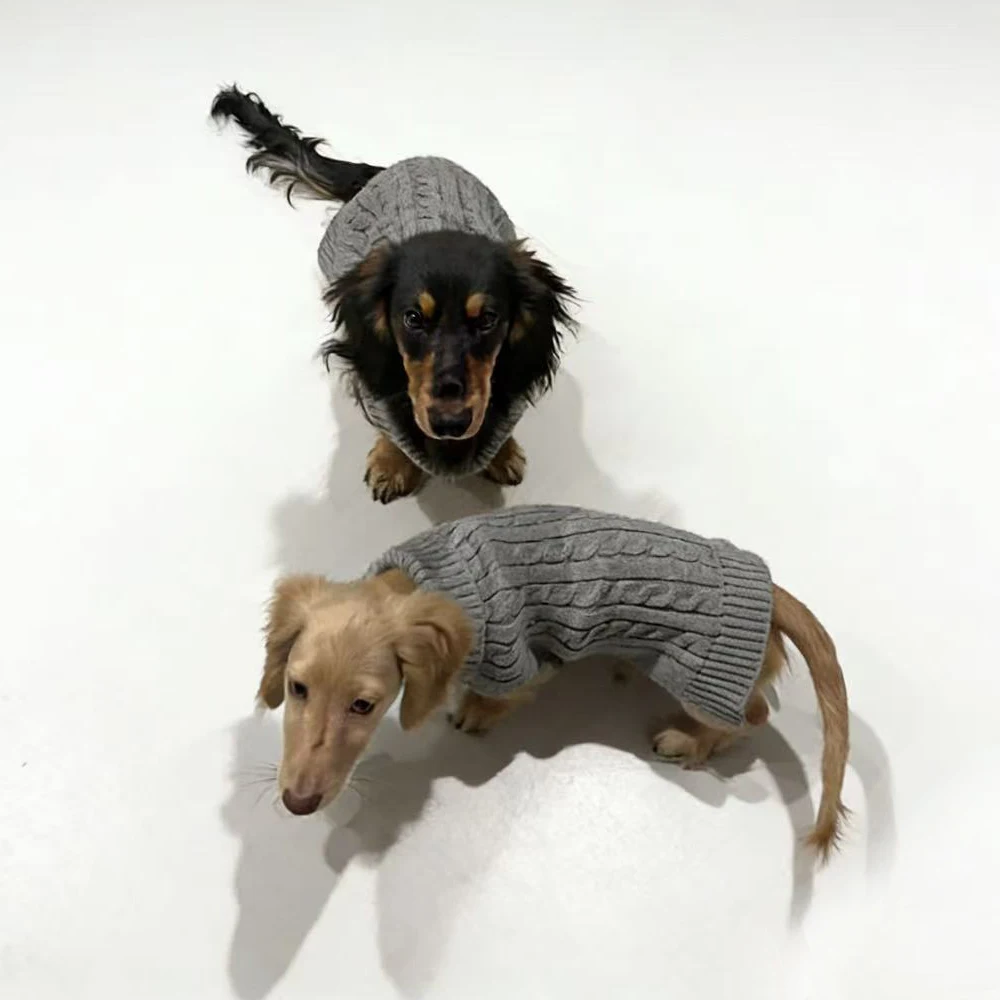 Winterwarme Strickweste mit 2 Beinen für Wienerhunde, einfarbig, ärmellos, für Badger-Hunde, weicher Mantel für kleine bis mittelgroße Dackel – Detail 5