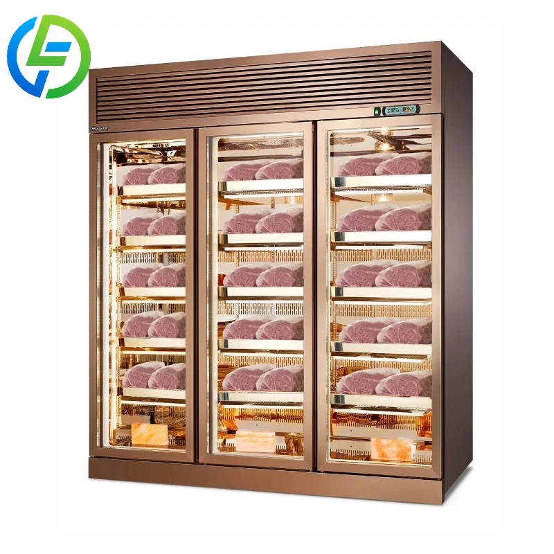 Customize Air Cooling Mode Beef Aging Freezer Refrigerator Homemade & Restaurant Use Meat & Fridge Dry Ager