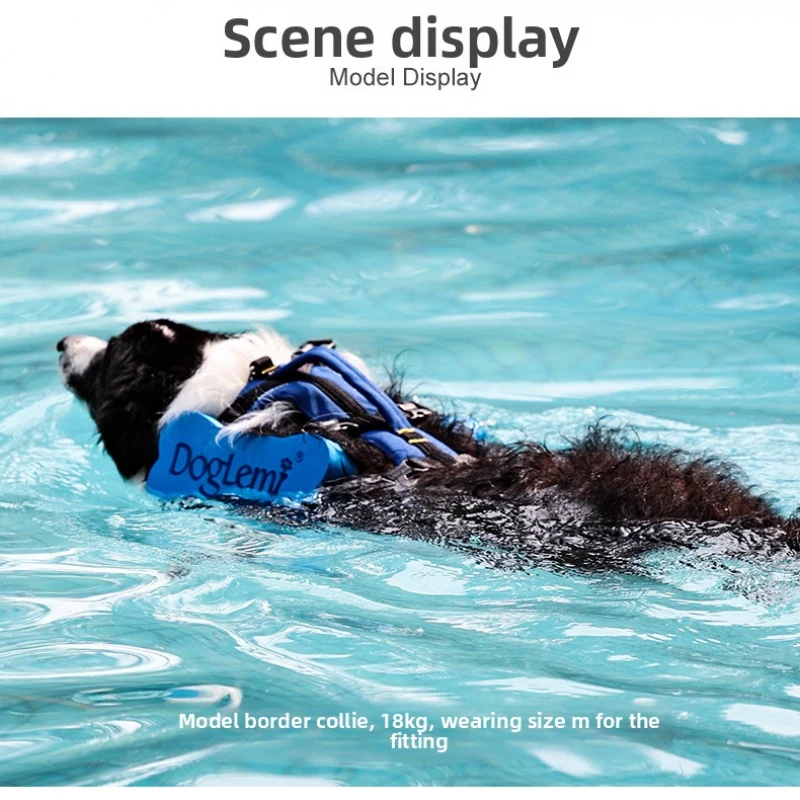 2 In 1 Adjustable Dog Life Jacket Dual Purpose Pet Swimming Safety Float Harness for Walking Water Sports