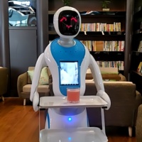 Factory Price Trackless and With Track Robot Restaurant / Food Delivery Robot