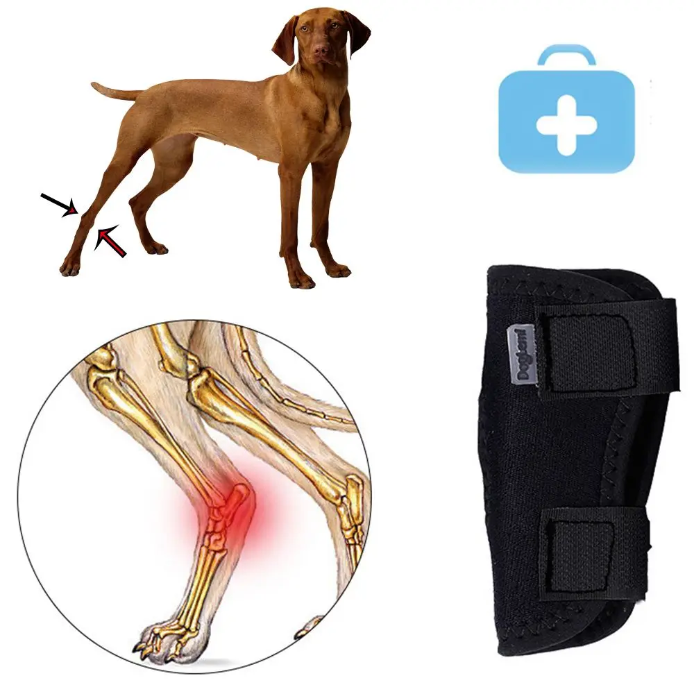 Pet Knee Pads Dog Support Brace for Leg Hock Joint Wrap Breathable Injury Recover Legs Dog Protector Support Protects Bandage