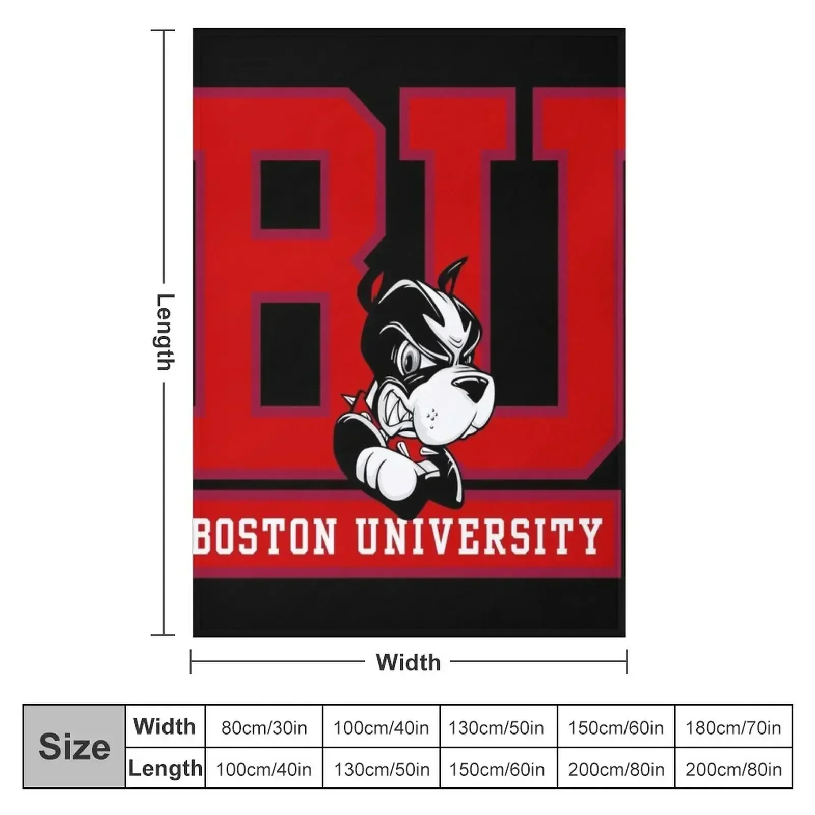 Popular, Boston-Icon Throw Blanket couch cozy soft plush fuzzy picnic outdoor blanket