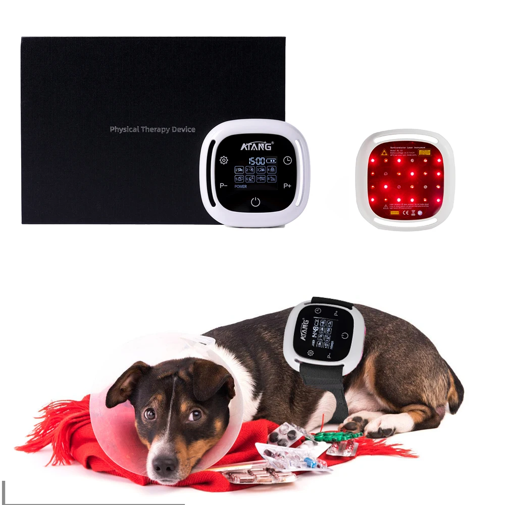 Veterinary Cold Laser  Pain Relief Device Dogs Joint and Arthritis Pain Relief Animal Instrument