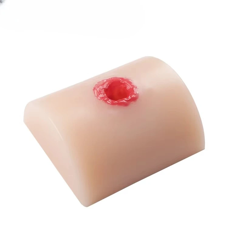 

Bullet Simulation Wound Module Trauma Assessment Module for Human Model Training Model