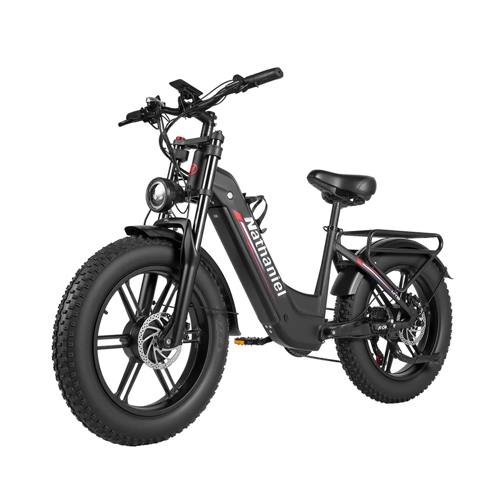 Nathaniel SYR08 City Commuting E-Bike, Dual Motor 2000W, 20x4.0 Integrated Wheel, 48V20AH, Speed 50+, Snow/Sand Outdoor Cycling image 3