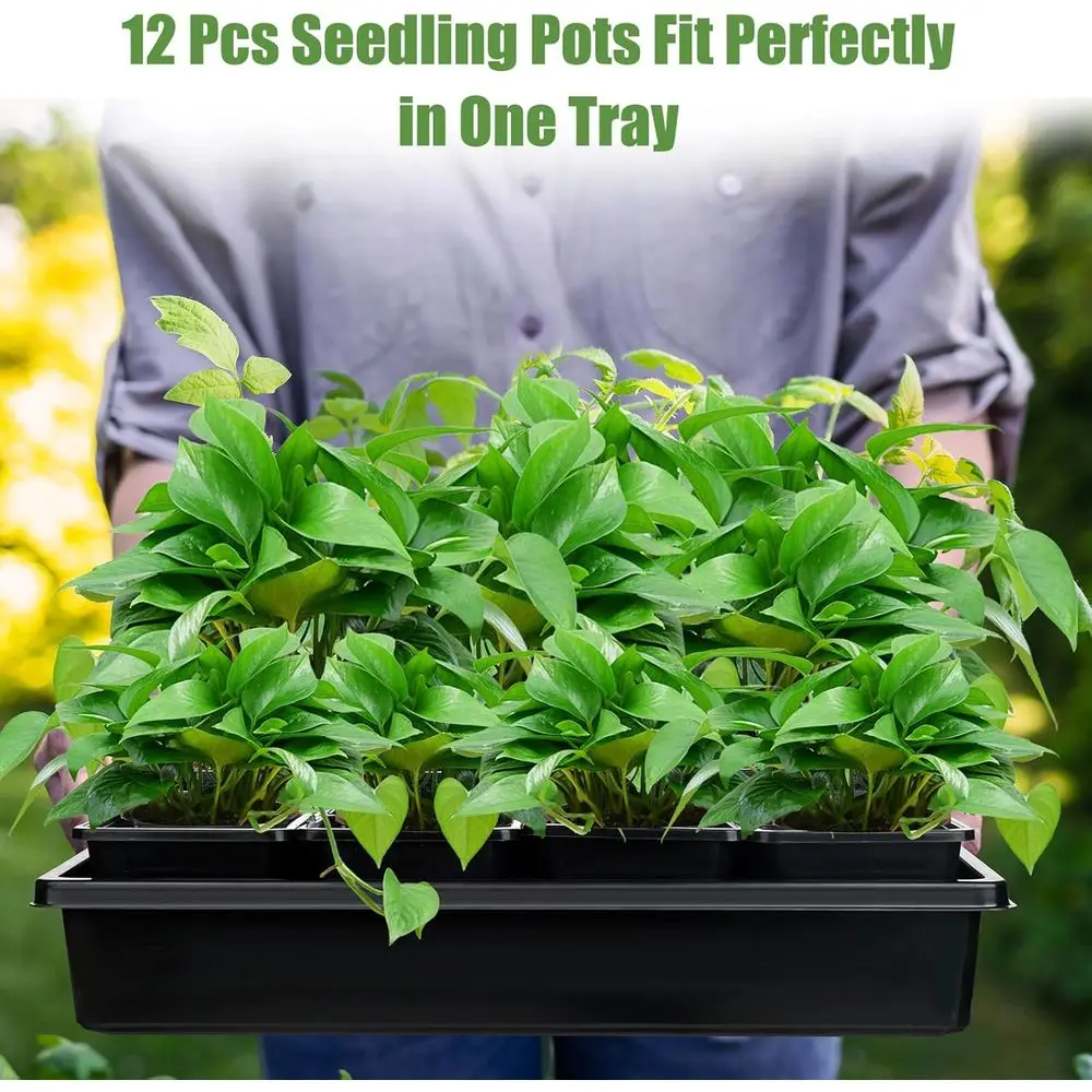 5-Piece Seed Starter Trays with 60 Nursery Pots, 3.5 Inch Square Seedling Pots for Sturdy Plant Growth and Reusable Germination