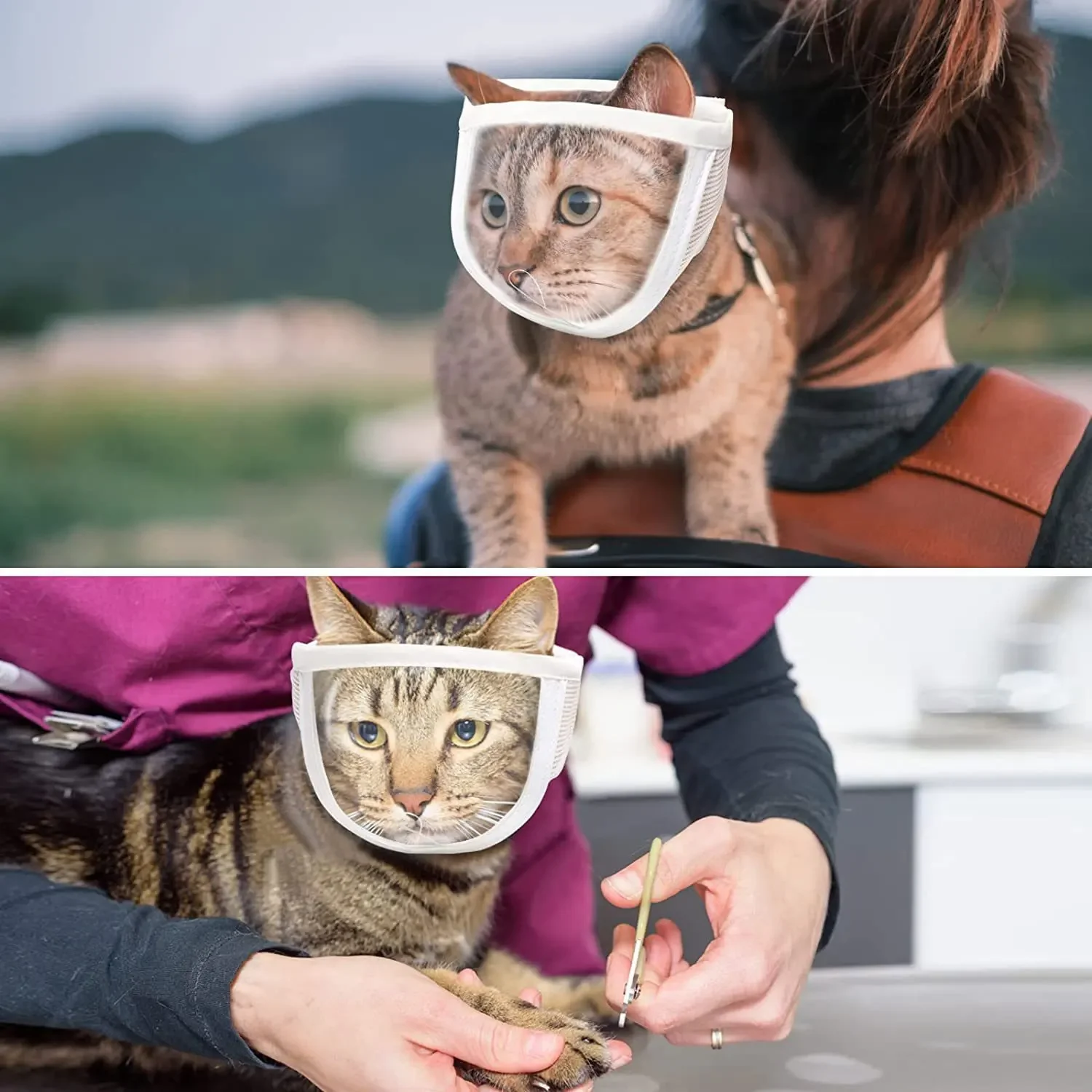 Bozal antimordeduras para mascotas, máscara protectora segura para cachorros y gatitos, protector facial transparente para mascotas pequeñas