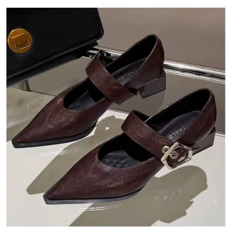 Retro Pointed Toe Mary Jane Small Leather Shoes Women's British Fengchun Autumn New French Fashion Block Heel Shoes