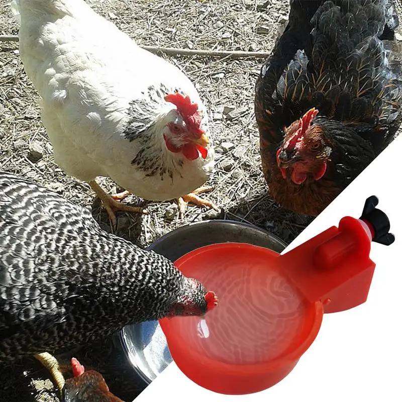 Tazza per bere pollo abbeveratoio automatico mangiatoia per pollo abbeveratoio per pollame in plastica mangiatoia per acqua potabile per pulcini anatra GooseQuail
