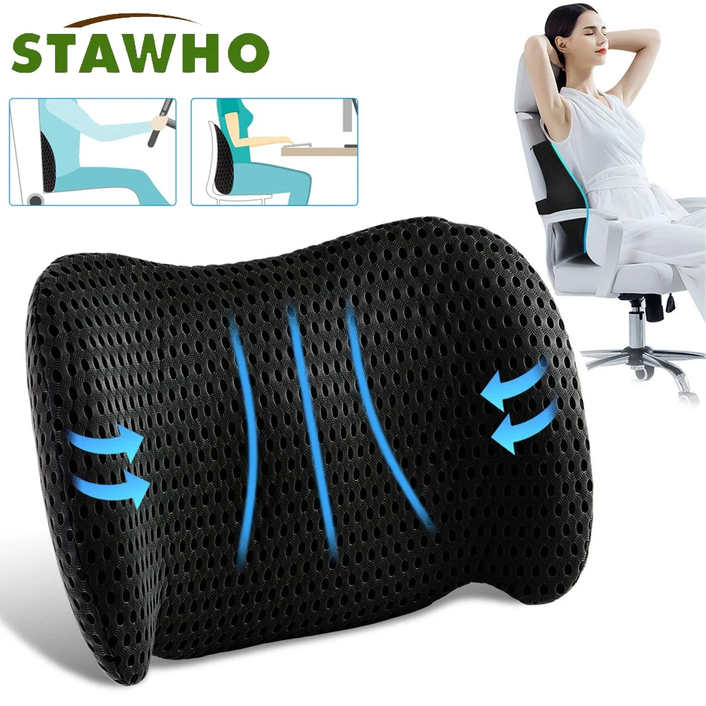 Lumbar Support Pillow for Office Chair,Car Lumbar Pillow Lower Back Pain Relief,Memory Foam Back Cushion with 4D Mesh Cover