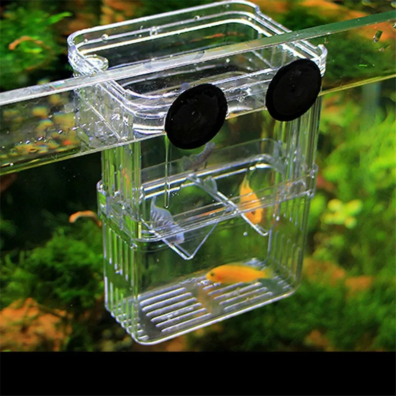 Aquarium Breeder Box Breeding Incubator Small Fish Hatchery Acrylic Divider for Shrimp Clownfish Aggressive Fish Injured Fish