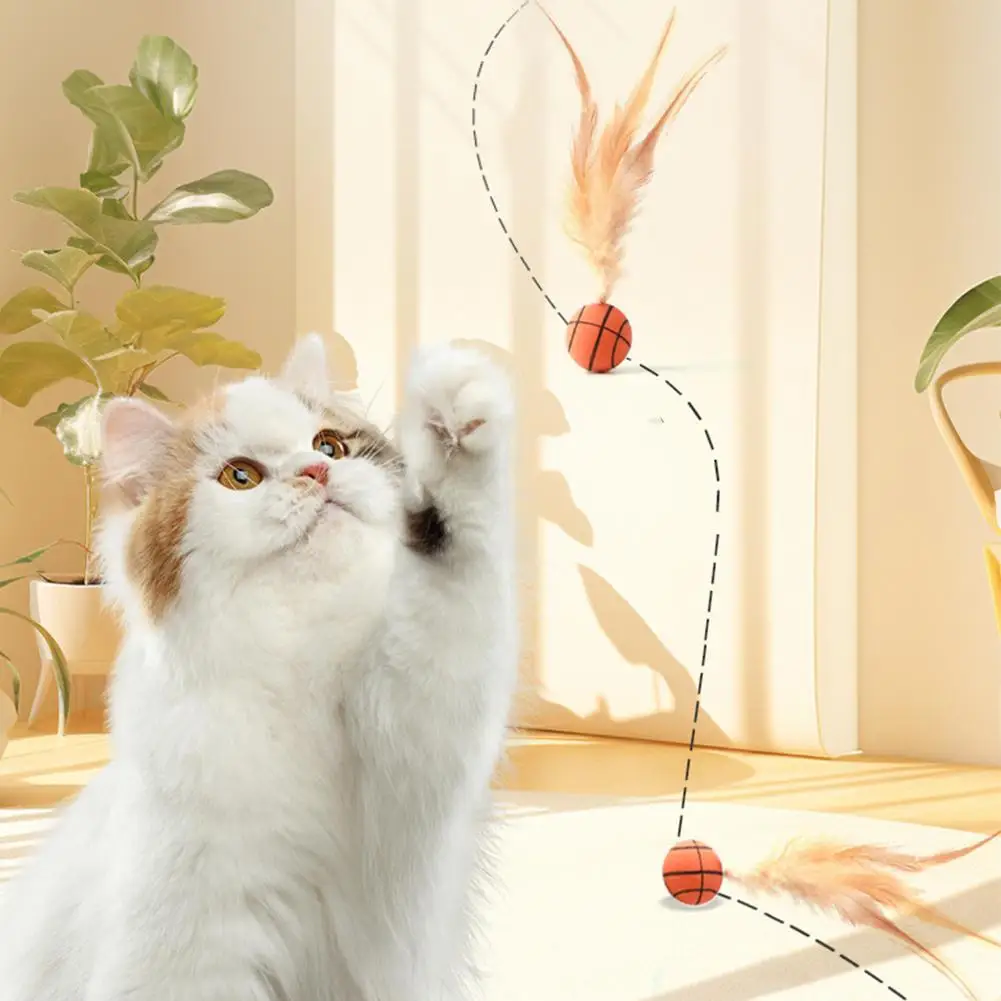 Cat Interactive Bouncing Feather Ball Toys Indoor Rolling Teasing Stick Cat Dog Game Toy Accessories