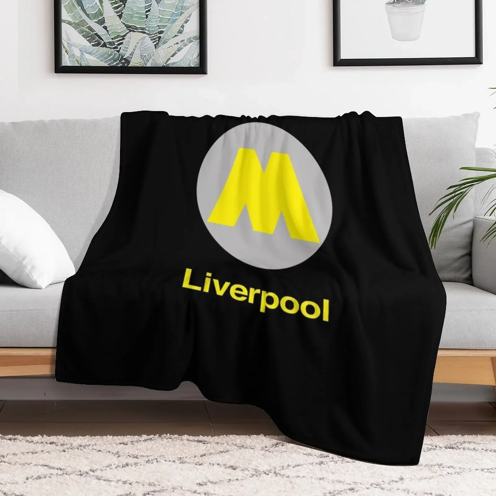 Liverpool Station Throw Blanket Hairy Sofa Throw For Baby Blankets