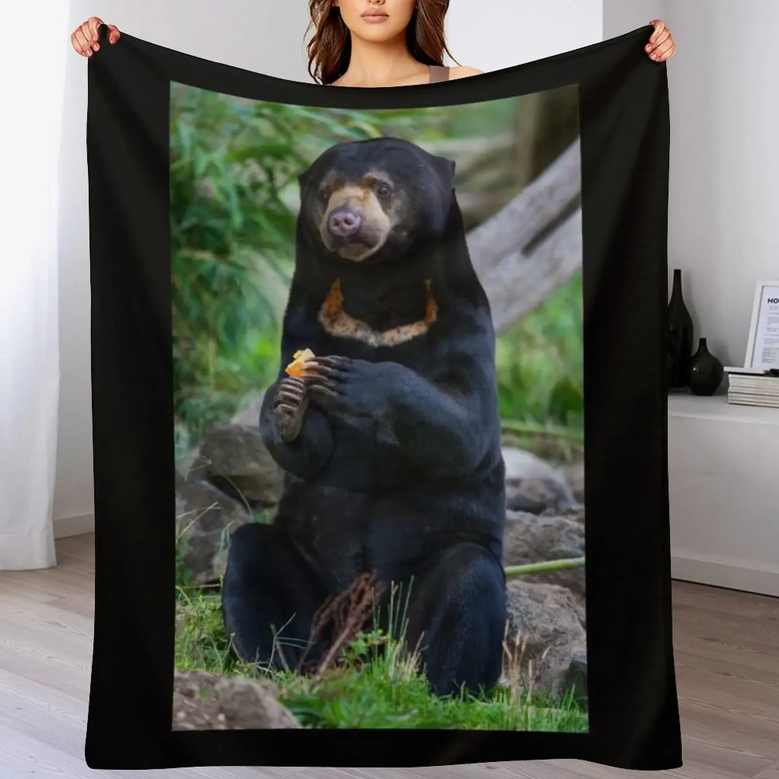 Malayan Sun Bear Contemplating Throw Blanket Stuffeds Summer Beddings Giant Sofa sofa bed Blankets