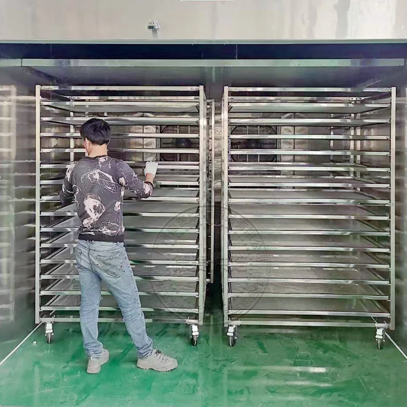 Stainless steel drying rack tea flower tea medicine longan ingredients drying screen baking room special layer rack drying car