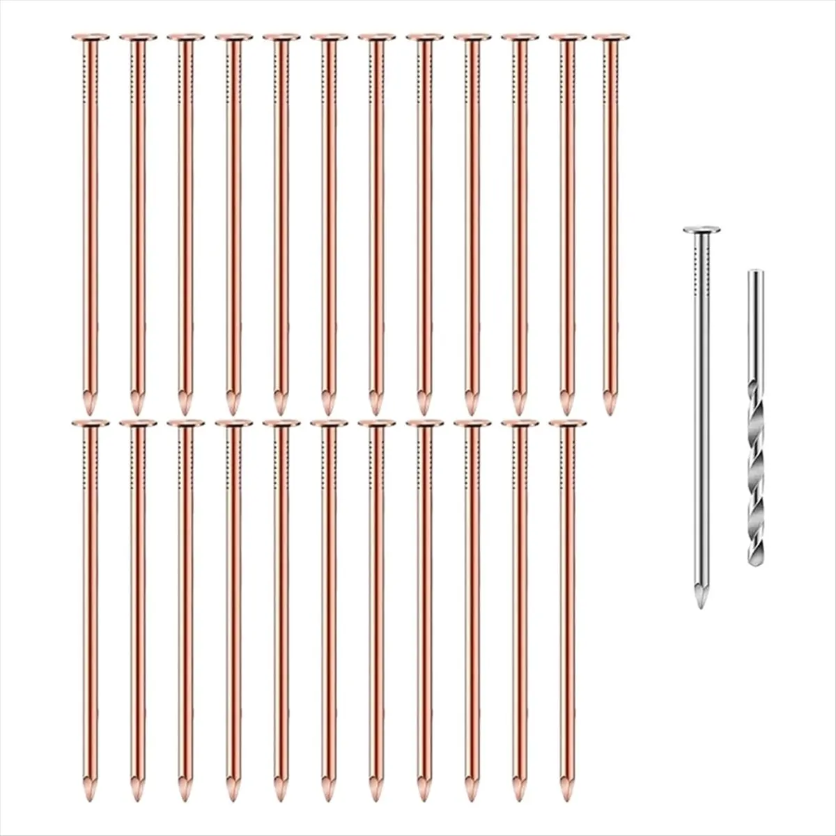 LUCK 25Pcs Coppers Nails Tree Stump KillersBulk Stump Removal Spikes Hardware Nails for Trees Removing Stumps