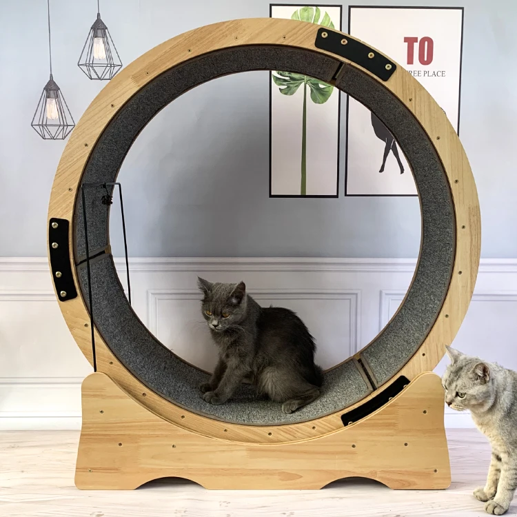 High Quality Wooden Cat Treadmill Cat Exercise Wheel Cat Running Wheel 2024 new arrival