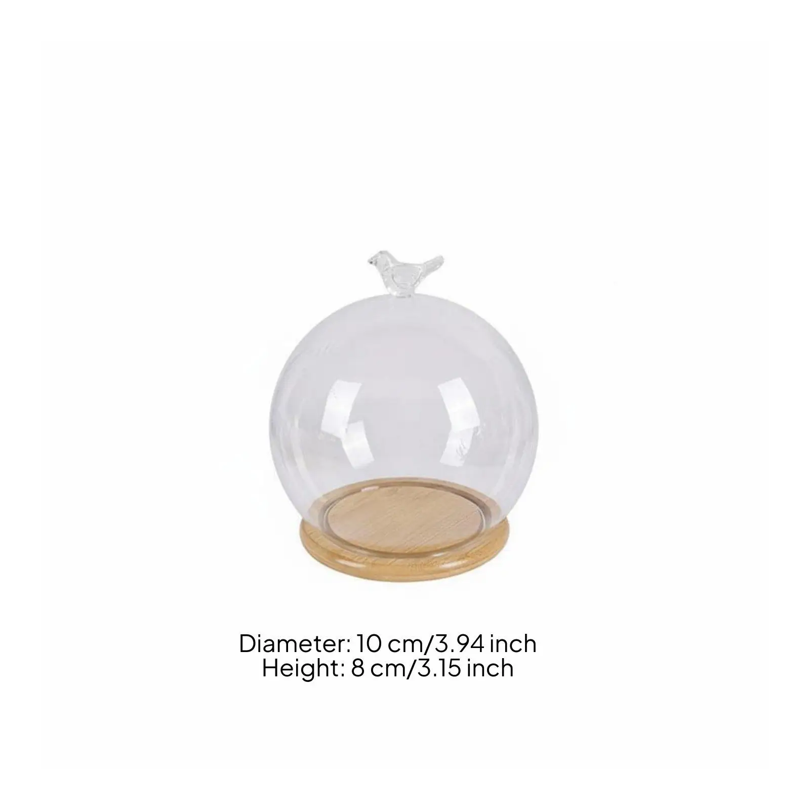 Clear Borosilicate Glass Cover for Miniature Landscape Display with Cork Finish for Halloween Decoration and Vase