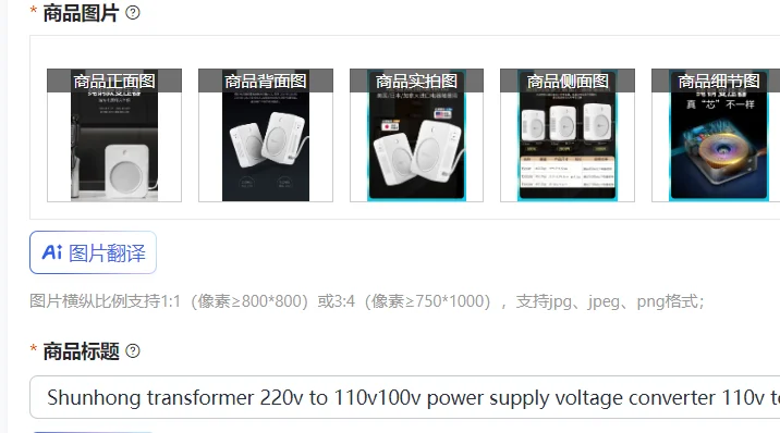 Shunhong transformer 220v to 110v100v power supply voltage converter 110v to 220v dry all copper pure copper