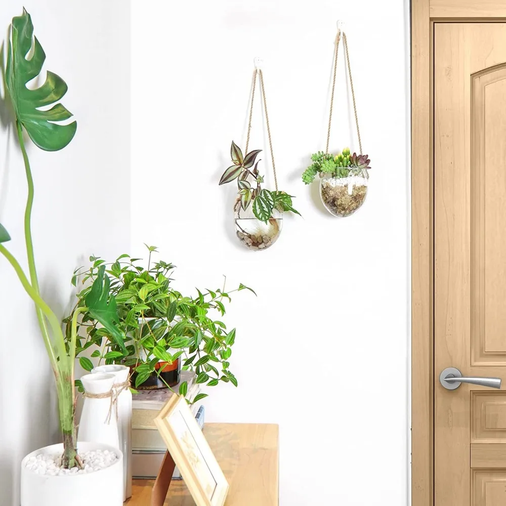

Plants Holder Transparent Hydroponic Hanging Vase Glass Exquisite Wall Mounted Vase Handmade Flower Pot Living Room