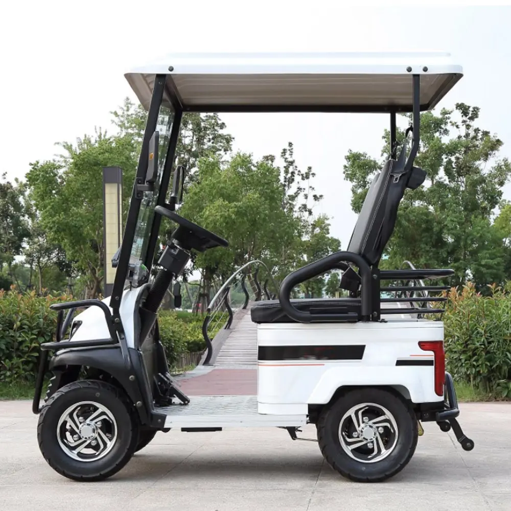 Powerful Rear Wheel Dual Drive Dirt-Free Steep Incline 650/800W Differential Motor 60V 20/32/50AH 2 Seats Electric Bus Golf Cart