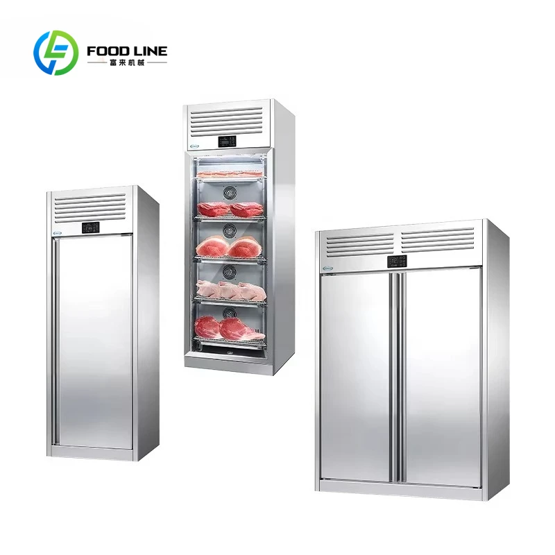 

Customized Profession Dry Age Fridge One Section Dry Ager and Thawing Refrigerator Dry Aging Cabinet