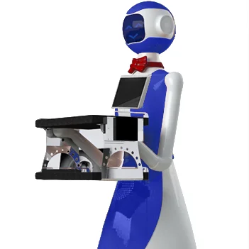 Humanoid waitress and food delivery service robots