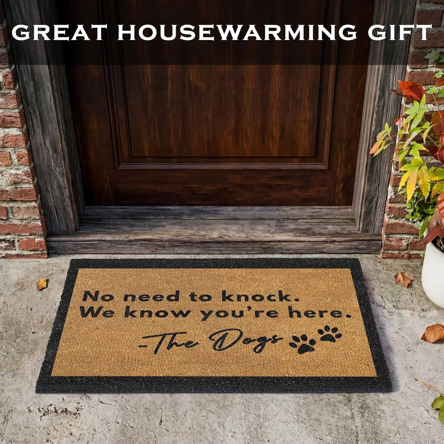 No Need to Knock We Know You're Here Welcome Dog Mat Indoor Outside Doormat Entrance Entry Door Rug  Decor Funny Carpet Gifts