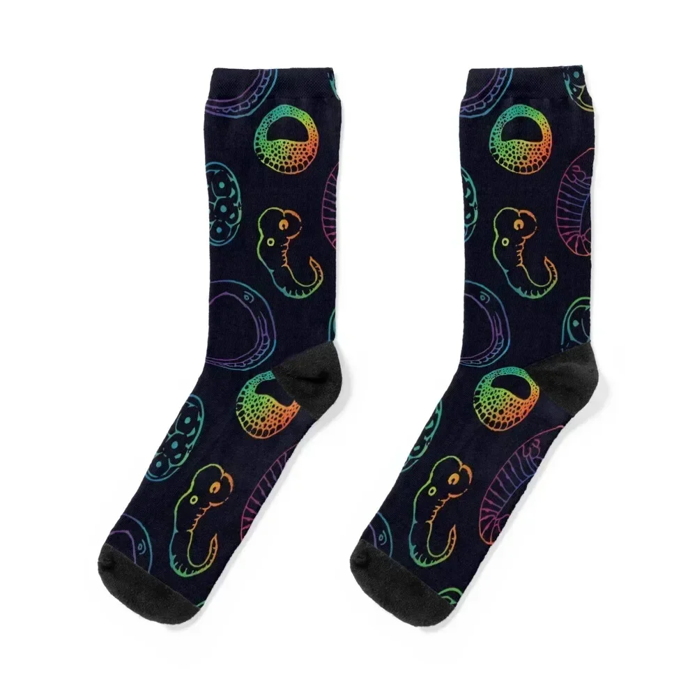 

Developmental biology Socks kids new in's basketball Stockings Socks Girl Men's
