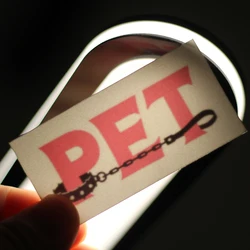 PET english letter cuckold temporary tattoos,adult waterproof sticker.