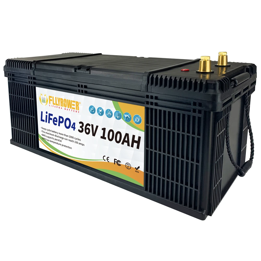 US/EU/Canada Stock LiFePO4 12v 24v 36v 48V100Ah Iron Phosphate Energy Battery Pack With BMS Supports Series And Parallel