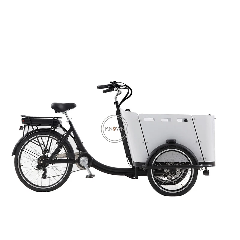 

3 Wheel Cargo Delivery Bike for Kids Family Cargo Bicycles Electric Pedal Tricycles Electric Passenger Tricycle