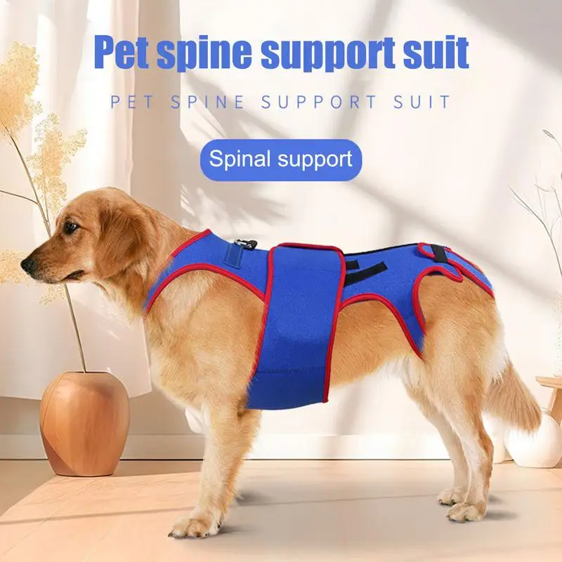 Dog Back Brace Dogs Back Brace Helps Small Dogs D-ring And Reflective Strips Back Protector Support Helps Hurt Relief Dogs Back