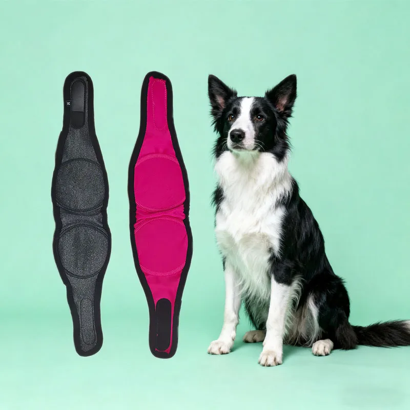 1 cache-oreilles anti-effettuant de protection auditive à réduction de bruit - Conception de bandeau réglable, matériau doux respirant adapté à la natation et à la plage - Cache-oreilles apaisant anti-intrusion pour chien