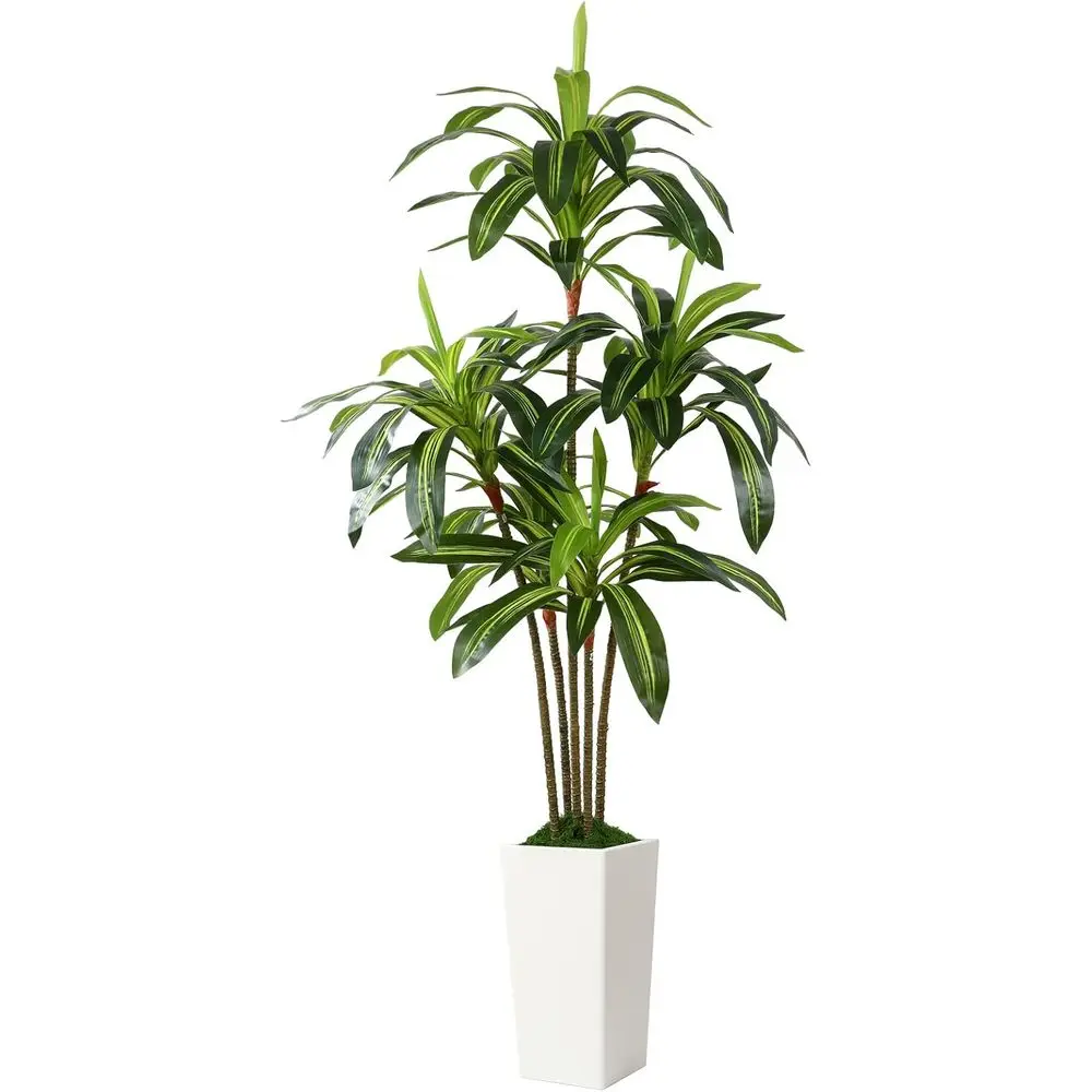 

6ft Tall White High Pot Artificial Dracaena Tree for Indoor & Outdoor, Potted Decor for Home/Office Living Room