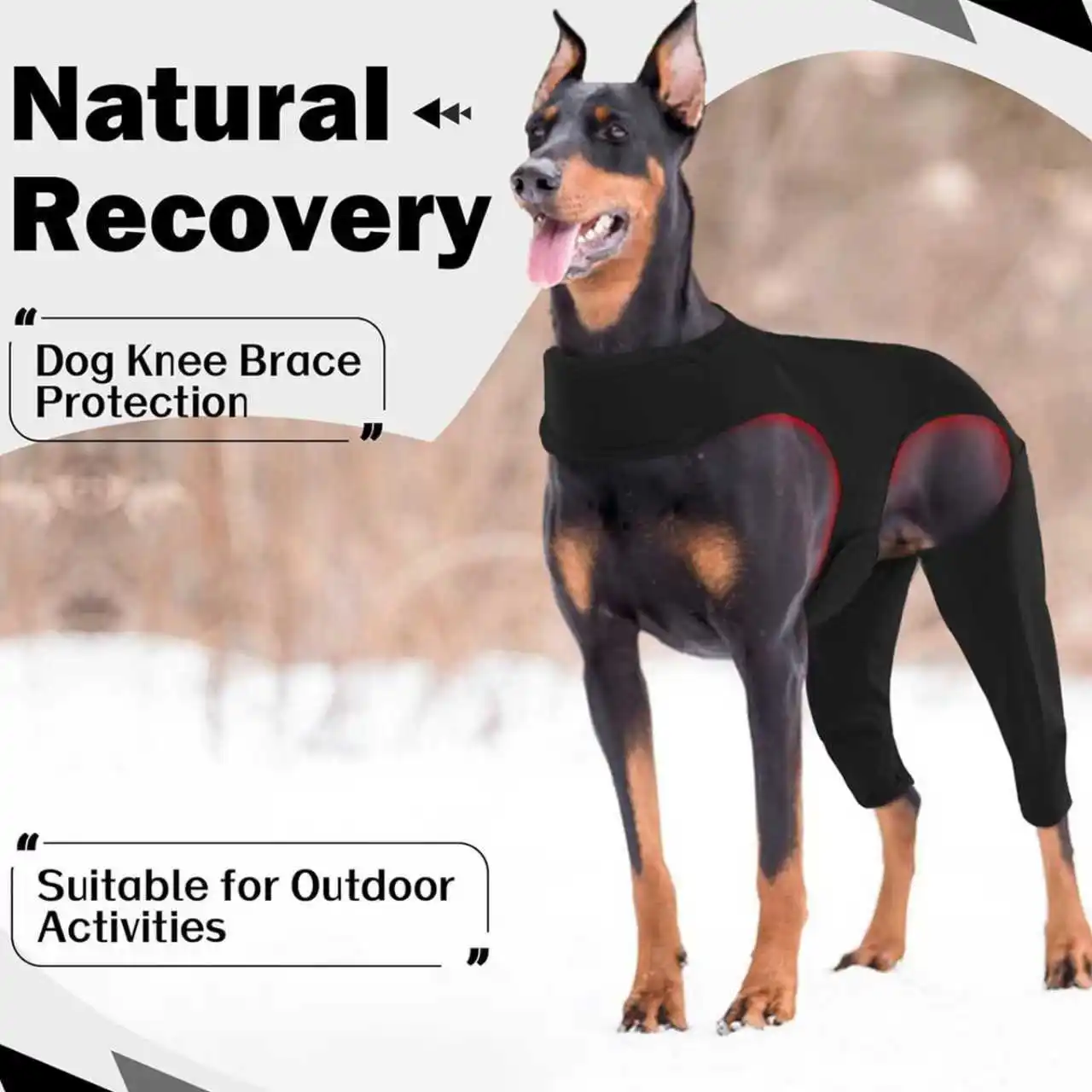 Pet Red Light Therapy Physiotherapy Pad for Dogs Breathable Fabric Covering Multi-part Auxiliary Promotion Circulation
