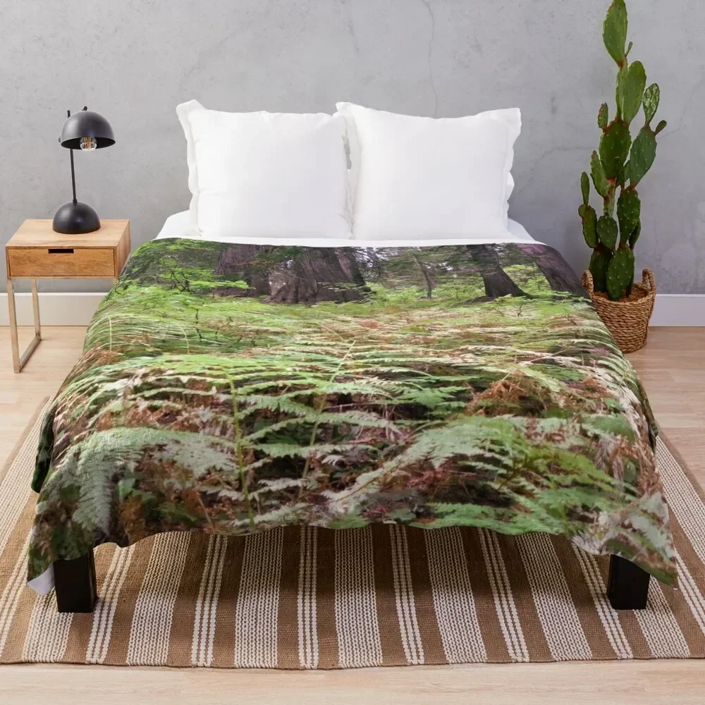 Northwest forest with trees and ferns Throw Blanket Wrinkle Resistant Lightweight Blanket