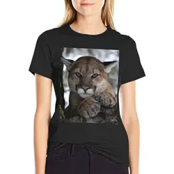 Cougar (Mountain Lion) Photograph T-Shirt anime vintage lady summer for Women