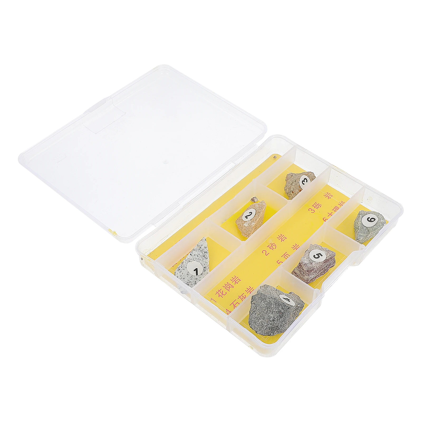 

Teaching Rock Specimens Stone Samples Natural Mineral Stones Wooden Tool Packaging Plastic