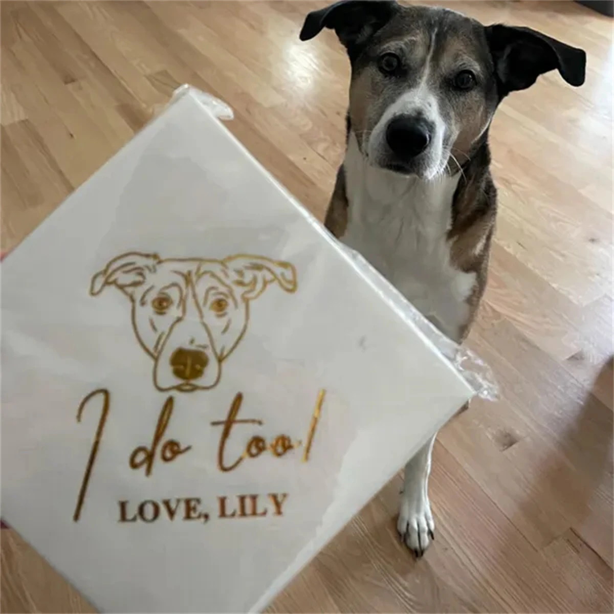 50Pcs Custom Illustrated Dog Gold Foil Wedding Napkins, Personalized Pet Cocktail Napkins, Cat Wedding Napkins, Dog Cocktail Nap