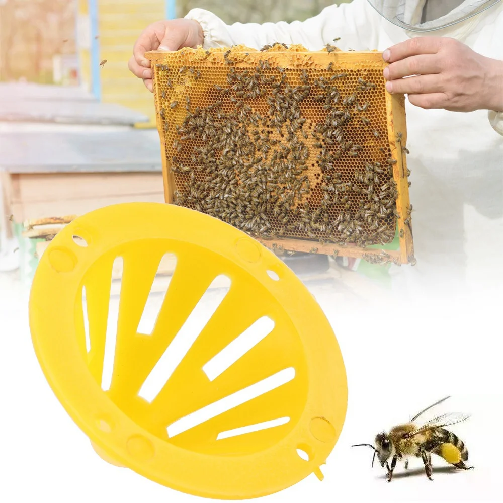 10Pcs Cone Shape Reusable Wasp Trap Insect Funnel Killer Bee Hornet Catcher Plastic Bottle Wasp Traps Pest Control Tool