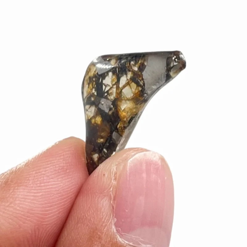 Seymchan Pallasite Meteorite Polished Freeform Specimen Natural Olivine Iron Meteorite Astronomy Collection -QC934