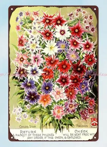 Phlox flower John Lewis Childs 1891 metal tin sign home garden wall decor