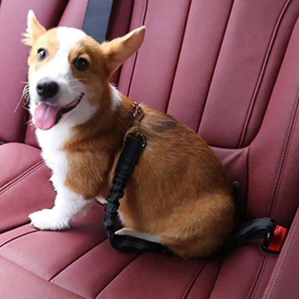 

1 шт. товары для домашних животных, ремни для автомобильных сидений, поводки для собак, выдвижная амортизация, эластичные светоотражающие страховочные канаты, поводки для собак