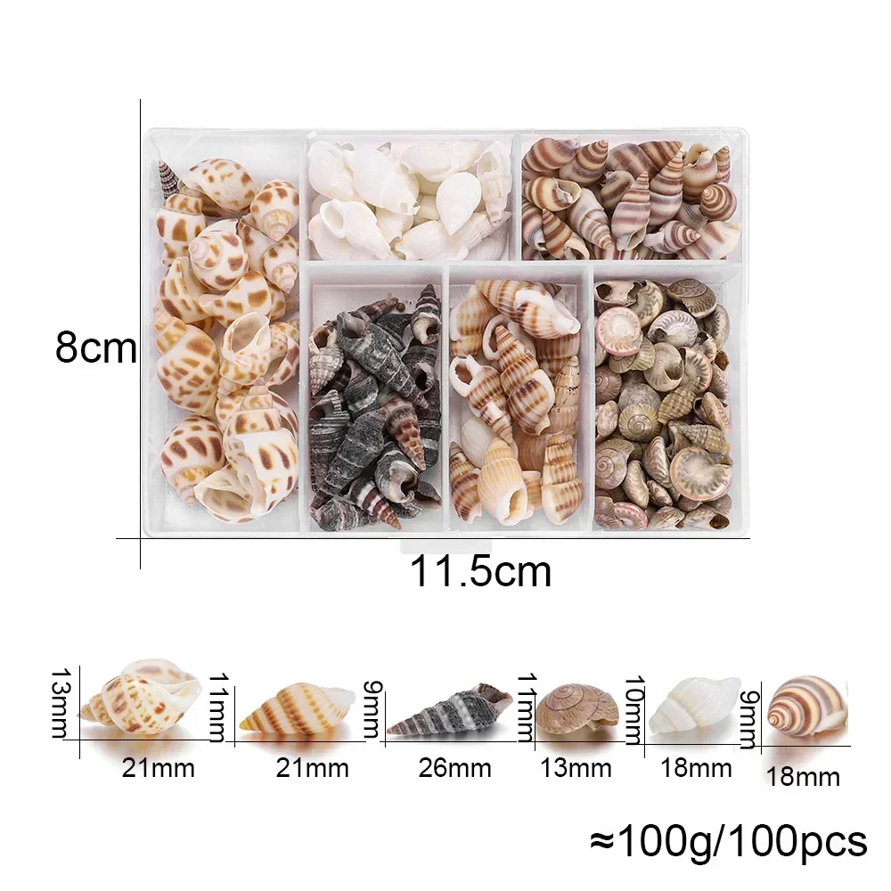 Natural Mini Conch Mediterranean 1Bag Interesting Colored Mixed Real Small Sea Shells Aquarium Nautical Decoration Ornaments