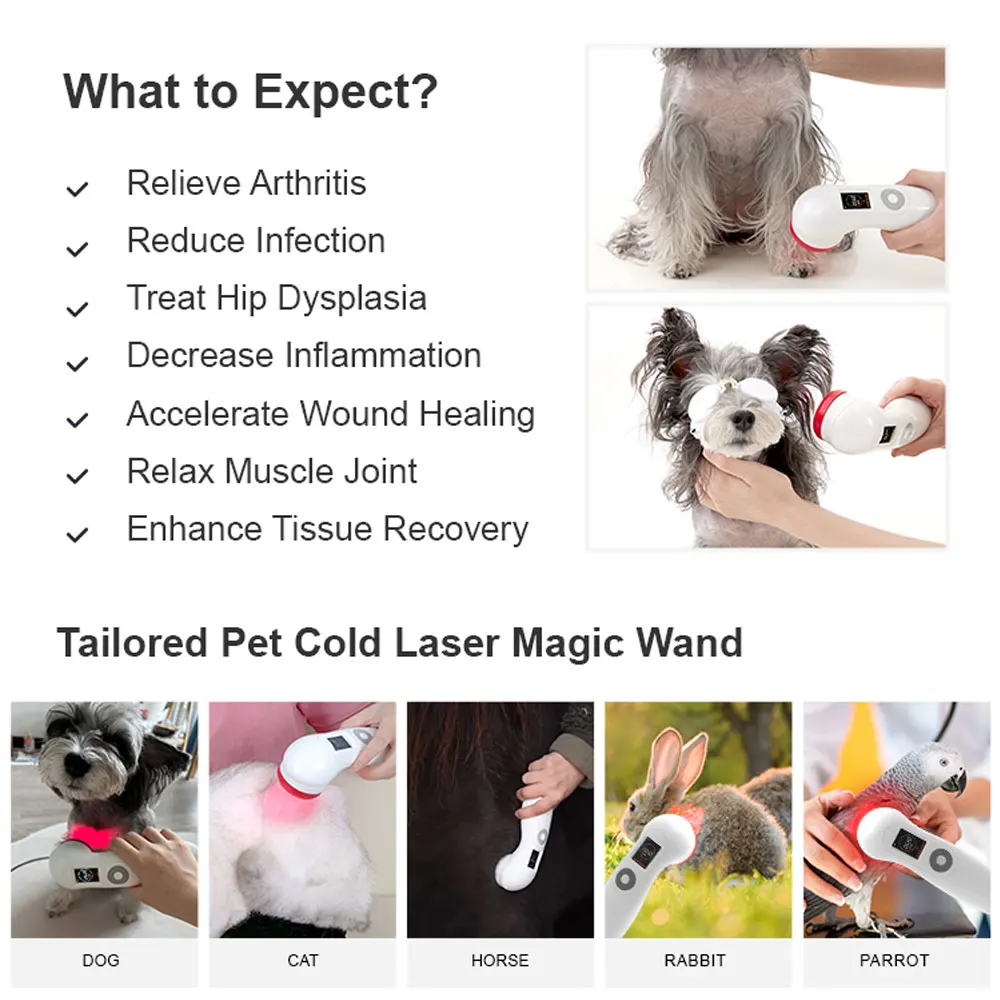 Pet Therapy Device Veterinary Diode Laser 808nm 650nm Infrared Light Therapy Device for Animals Fast Recovery