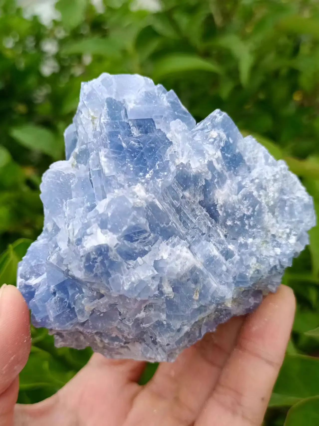 Natural Kyanite, Crystalline Quartzite Crystal Clusters, Energy Gems, Reiki Healing, Decorative Gifts, Meditation Divination, Aq